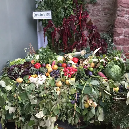 酒店 Im Lustgarten 拉登堡