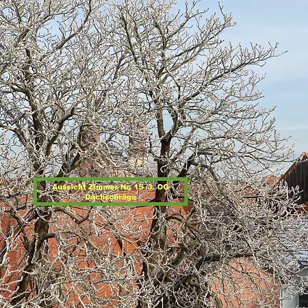 Im Lustgarten 3* Ladenburg