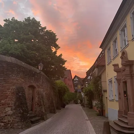 Im Lustgarten 酒店 拉登堡